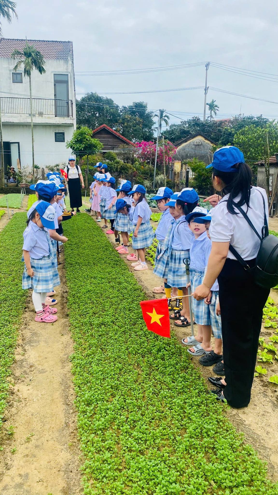 anh tin bai